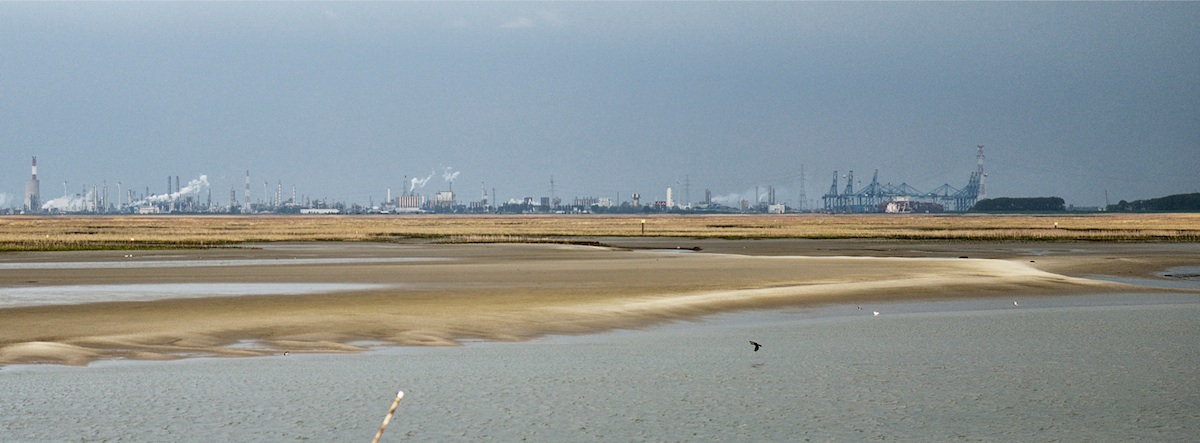 Het Verdronken Land van Saeftinghe; aan de horizon de haven van Antwerpen. Foto: Kadir van Lohuizen