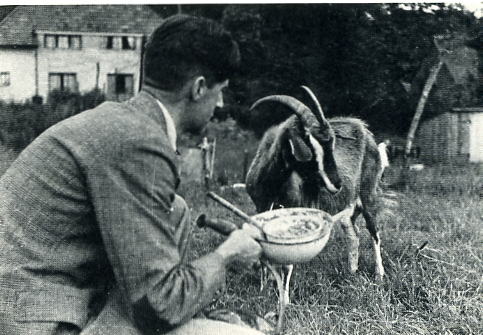 George Orwells eigen 'Animal Farm'