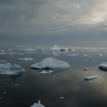 Fotodocument: De Noordpool, van woestenij tot goudmijn