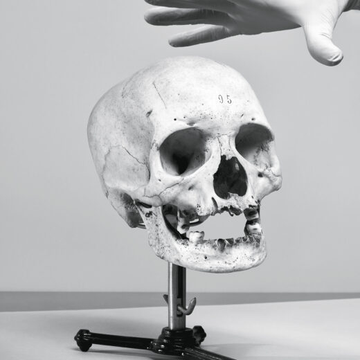Kasten vol schuldgevoel: wat te doen met schedels en botten uit de koloniale tijd?