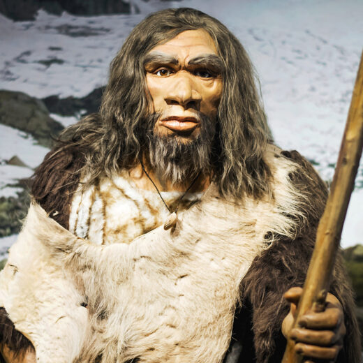 Een lesje in nederigheid van de neanderthalers