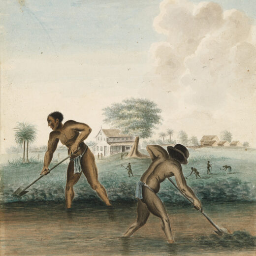 250 jaar slavernij in het Rijksmuseum: ‘Met deze tentoonstelling slaan we voorgoed een andere weg in’
