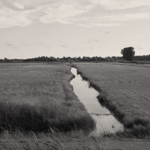 De slag om de polder: van wie is de grond in Nederland?