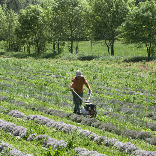 De Green Deal in de praktijk: in Frankrijk boksen boerenvernieuwers op tegen gevestigde Europese belangen