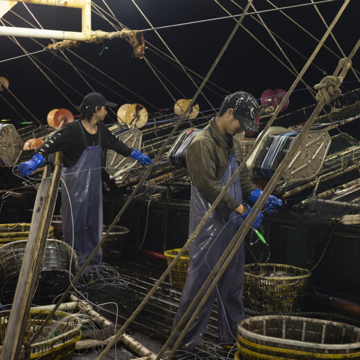 Chinese wanpraktijken op zee: de misdaden achter de vis in de supermarkt